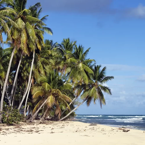 transfer-morro-boipeba