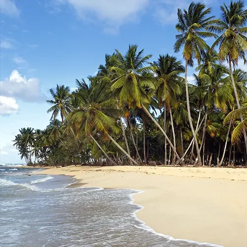 transfer-para-boipeba