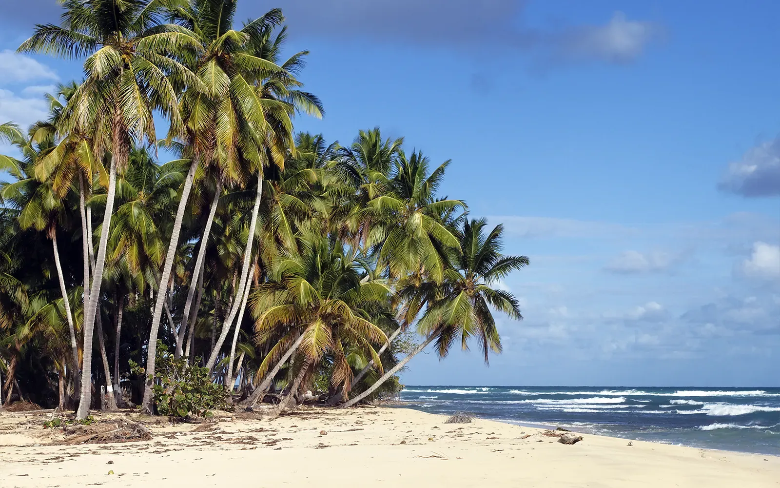 Paisagem do trajeto entre as ilhas de Tinharé e Boipeba