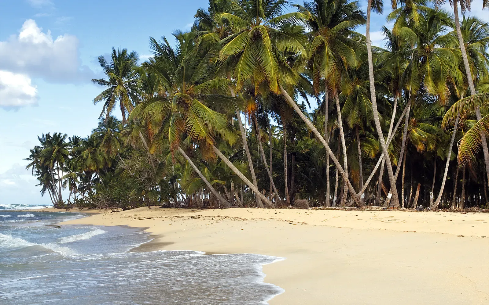 Praia com coqueiros no Baixo Sul da Bahia, destino de quem pesquisa como chegar em Morro de São Paulo