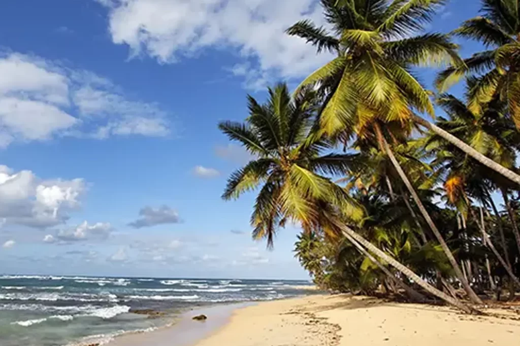 Transfer de Morro de São Paulo para Boipeba ba