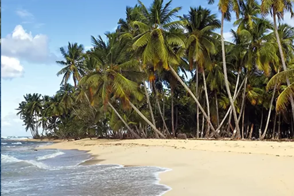 Transfer de Salvador para Boipeba